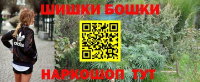 стафф Можга
