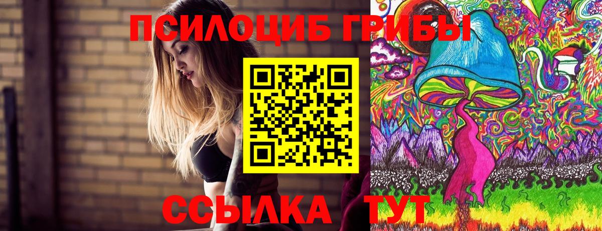 Чапаевск  Псилоцибиновые грибы мухоморы  Вход с VPN 